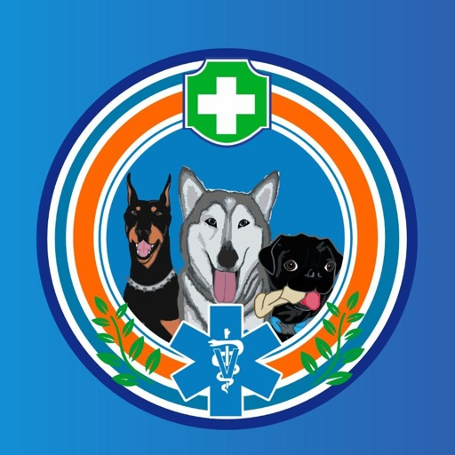 Logo VETZYN